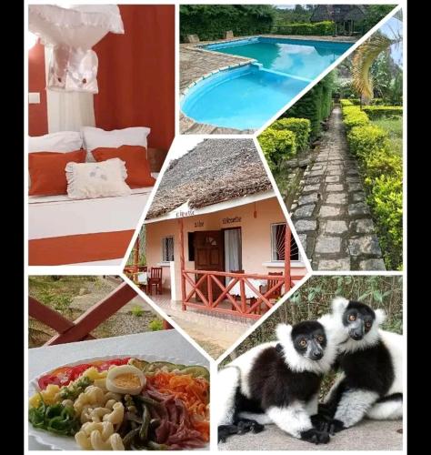 Analamazaotra hotel in Andasibe