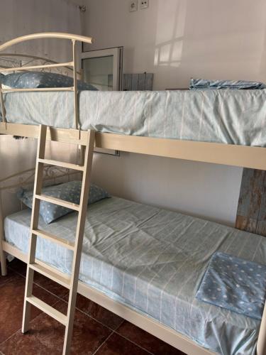 1 queen bed, 1 bunk bed, 1 sofa bed