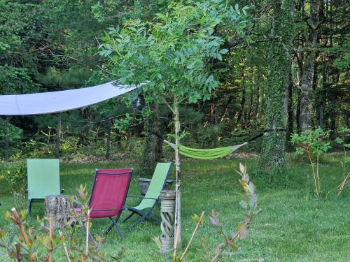 My lilifab in Saint-Saud-Lacoussiere