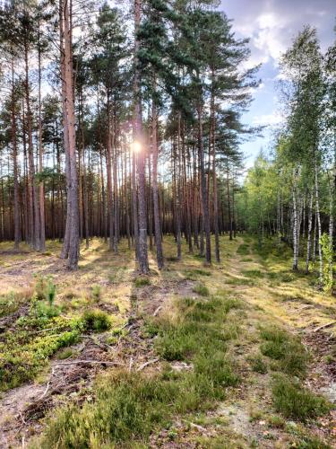 Mały domek na Kaszubach