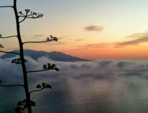 Djabraba's Boarding Rooms in วิลา โนวา ซินตรา