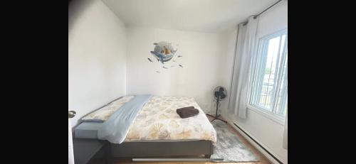 homestay in Villeray-Saint-Michel-Parc-Extension