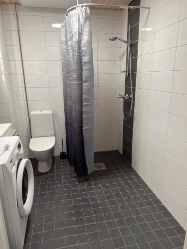 Tilava yksiö isolla lasitetulla parvekkeella, Helsinki (photo 3)