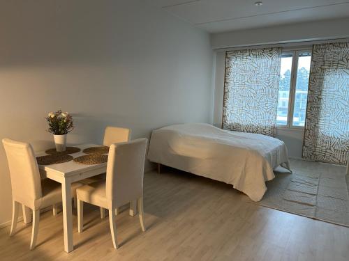 Tilava yksiö isolla lasitetulla parvekkeella, Helsinki (photo 8)