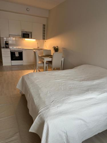 Tilava yksio isolla lasitetulla parvekkeella in Kurkimäki