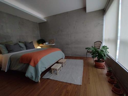 Cute Condesa Studio Indoor Pool Nice Gym in Mexico City, Mexico