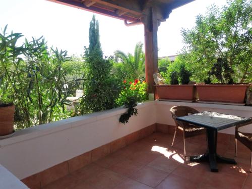 景觀, Agriturismo Casa Colonica Liliane in 波爾托切薩雷奧市中心