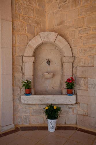 Erontas - image 10