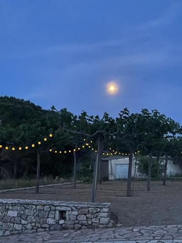 Vilana Studios in Kalamos (Cythera)