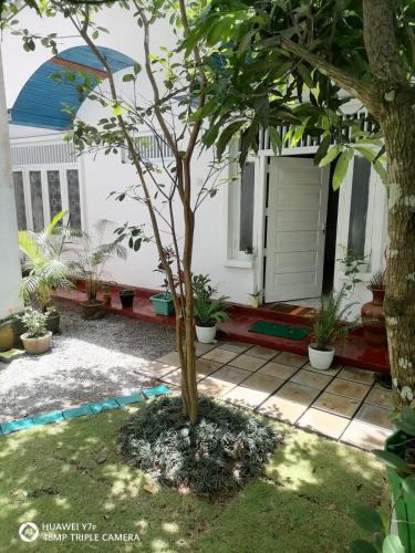 Roseviana in كادوجاناوا