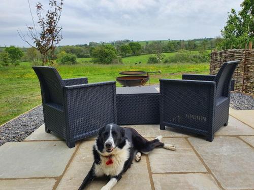 Iekārtas, Orielton Fach Farm - Cosy rural lodge in beautiful surroundings in Llanddewi Velfrey