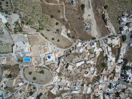 Thira's Dolphin - image 10