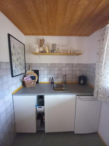 Apartement für Naturliebhaber (Apartement fur Naturliebhaber) in 菲施巴赫豪