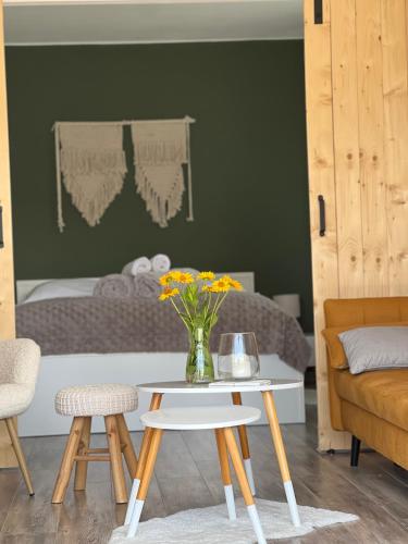 Apartament u Gogoca II