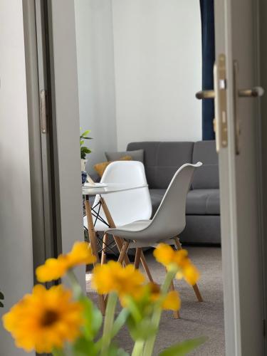 Apartament u Gogoca II
