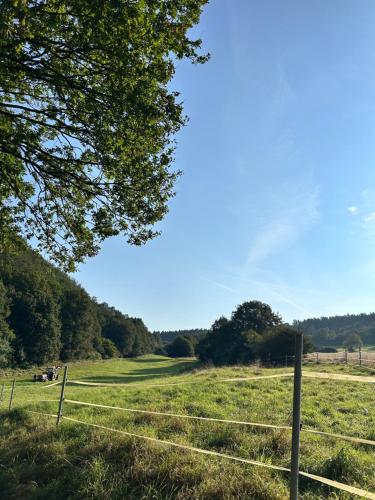 Ranch Apartment in Kirn