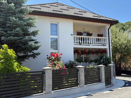 . Pensiunea Grapini