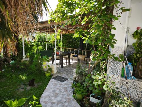 Family Нotel Banuri 2