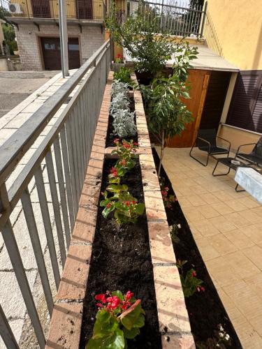 B&B Dimora Saracena in San Giuliano di Puglia