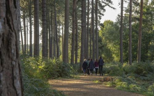 NEW Ye-Nyasha Stylish Retreat Hideaway in Farnham