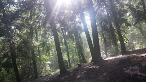 NEW Ye-Nyasha Stylish Retreat Hideaway in Farnham