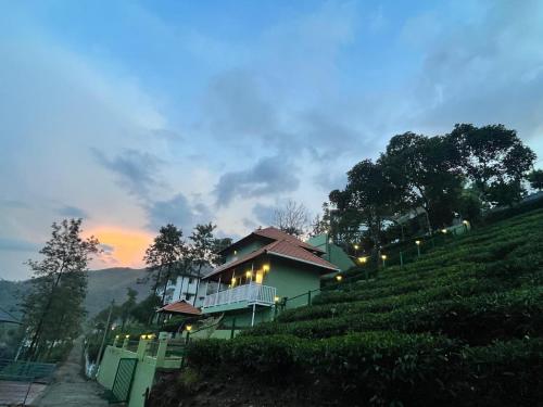 Green Lushy By Unplugged Vagamon