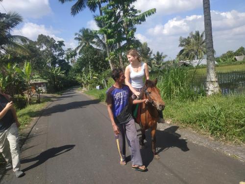 Rinjani Horse Riding BaseCamp - Tap to explore photos