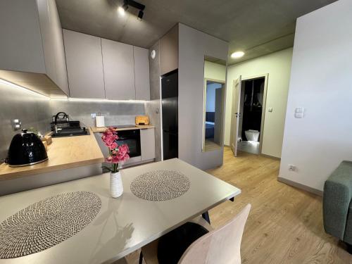 Piast Apartment - free parking, Cracovia (foto 7)