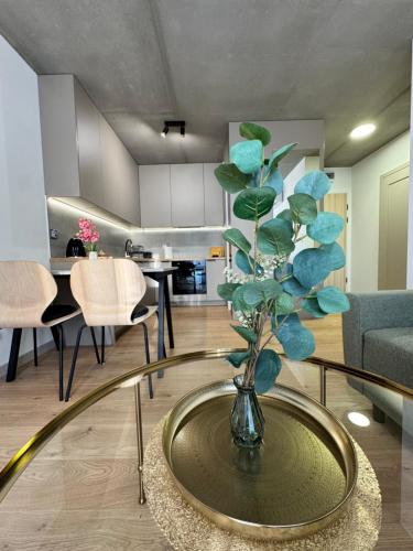 Piast Apartment - free parking, Cracovia (foto 6)