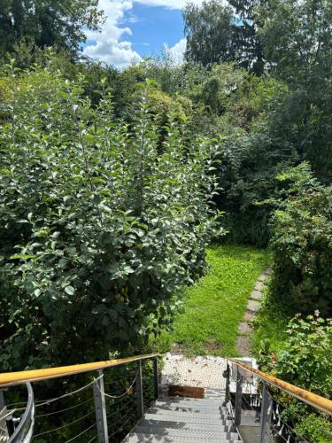 Kaiseraugst in ไรน์เฟ็ลเด็น