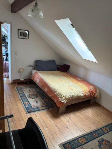 Kaiseraugst in ไรน์เฟ็ลเด็น