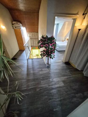 Pension Krohn, Hamburgo (foto 3)
