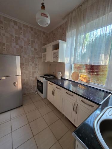 Guest House at DO Altyn - Kum in Chetkoysu