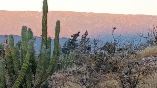 Hostel Vida in San Antonio (Catamarca)