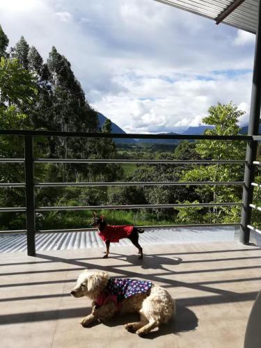 ทัศนียภาพ, Cabaña con linda vista en Oxapampa (Cabana con linda vista en Oxapampa) in ออกซาปัมปา