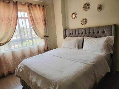 Classy Apartment Near all Embassies