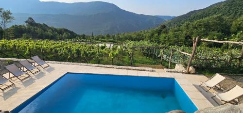 Korenishuli Veranda Wine Hotel 45 km from Tsageri in Tsageri