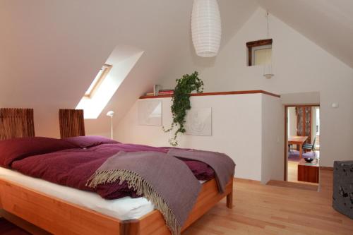 Appartement Violet in Plainfaing