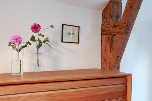 Appartement Violet in Plainfaing