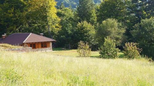 Vila Prevedena – khách sạn tại Novo Selo