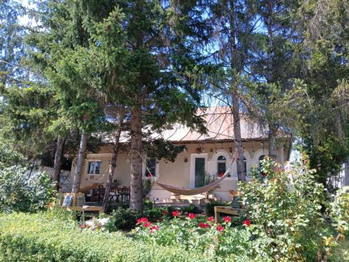 Casa de Vacanta Nora