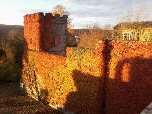 Apartment Barockgarten - image 5