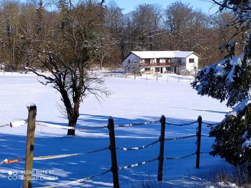 Haus Grün - image 13