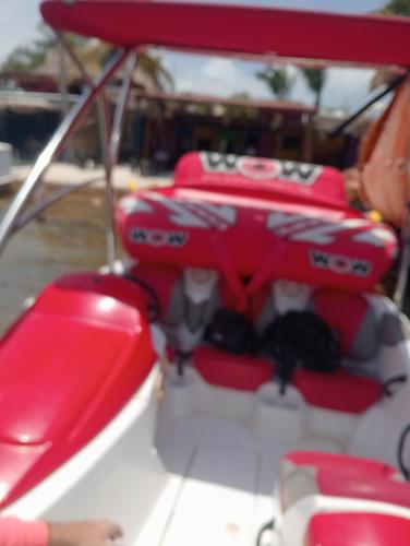 Formula Cancún Tours, Cancún (Foto 8)