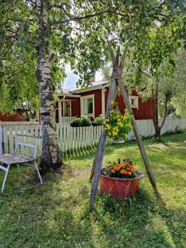 . Koivistonpiha farmstay