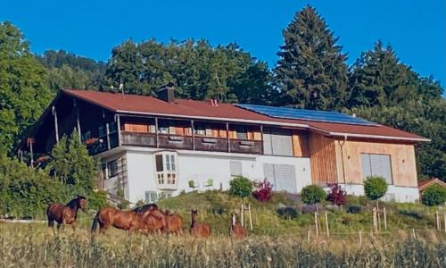 Ferienwohnungen mit privater Sauna und traumhaften Salzwasser-Pool in 安加