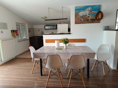 Apartment Viskovo in Viskovo