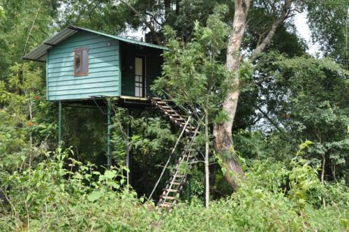 De Rock Jungle Living Masinagudi