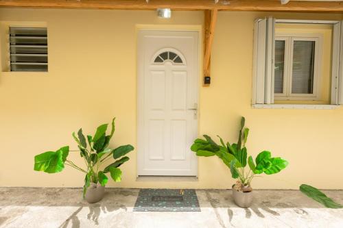 Luxury cozy Apartment in コールバーイ