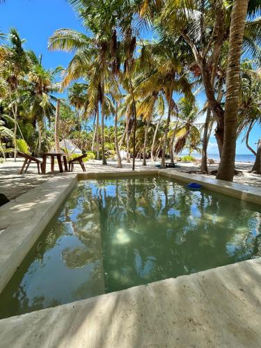Swimming pool, Hotel Cielo y Selva in Punta Allen
